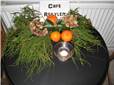 Juleskydning 2019