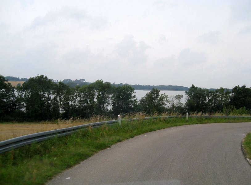 010.JPG