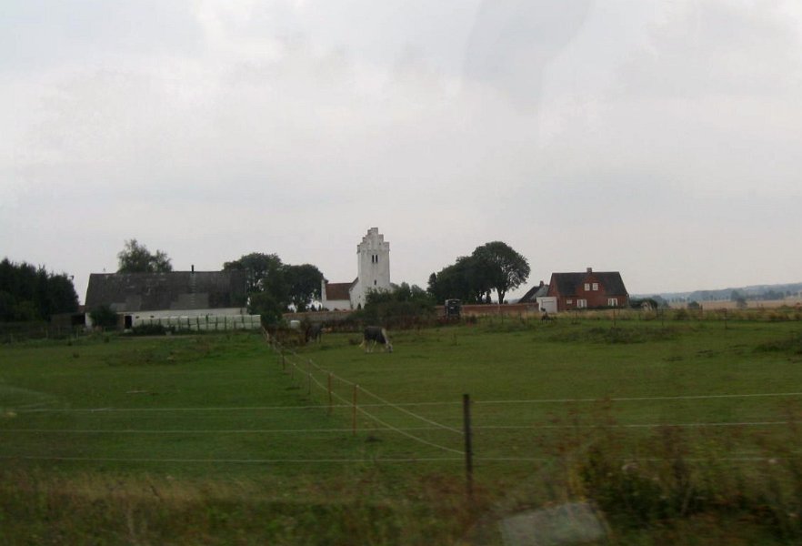 113.JPG